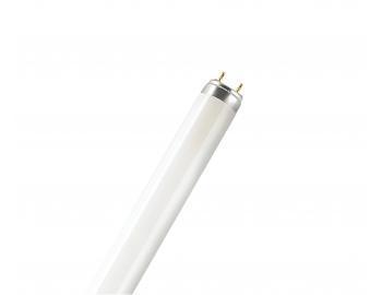 Zivkov trubice Osram Lumilux L 36W/840, 36 W/840, G13, T8 - neutrln bl