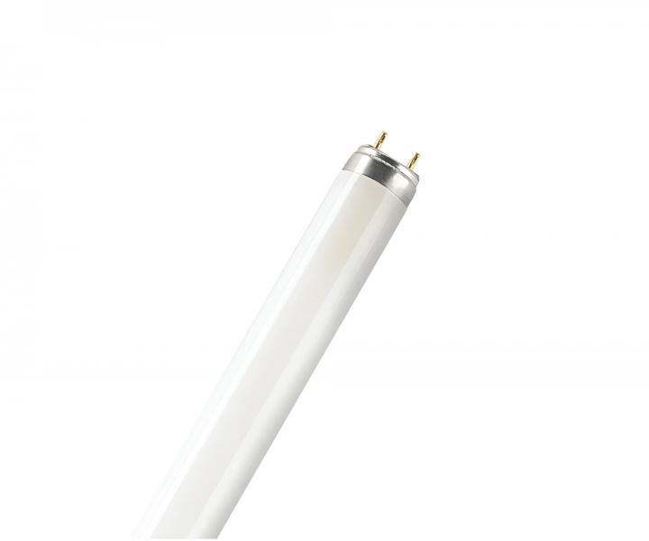 Zivkov trubice Osram Lumilux L 36W/840, 36 W/840, G13, T8 - neutrln bl